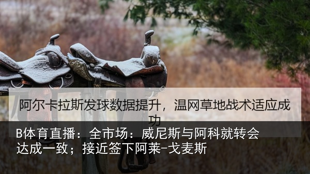 B体育直播:全市场:威尼斯与阿科就转会达成一致;接近签下阿莱-戈麦斯